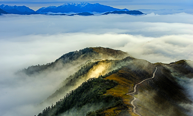 js6666zs金沙(中国游)有限公司官网