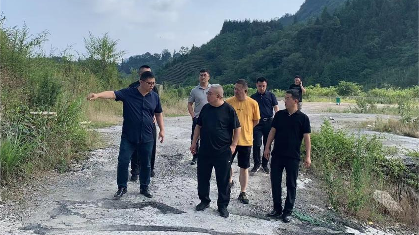 省js6666zs金沙集团向导调研峨眉山太阳村墟落振兴项目